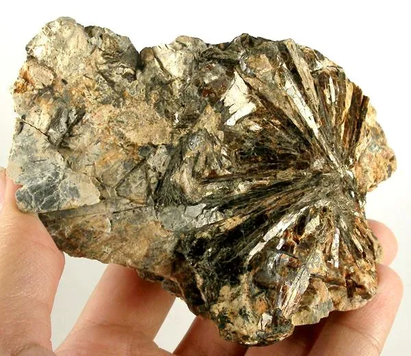 Astrophyllite image
