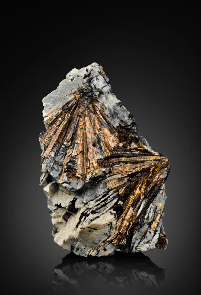 Astrophyllite from Khibiny Massif, Kola Peninsula, Murmansk Oblast, Russia image