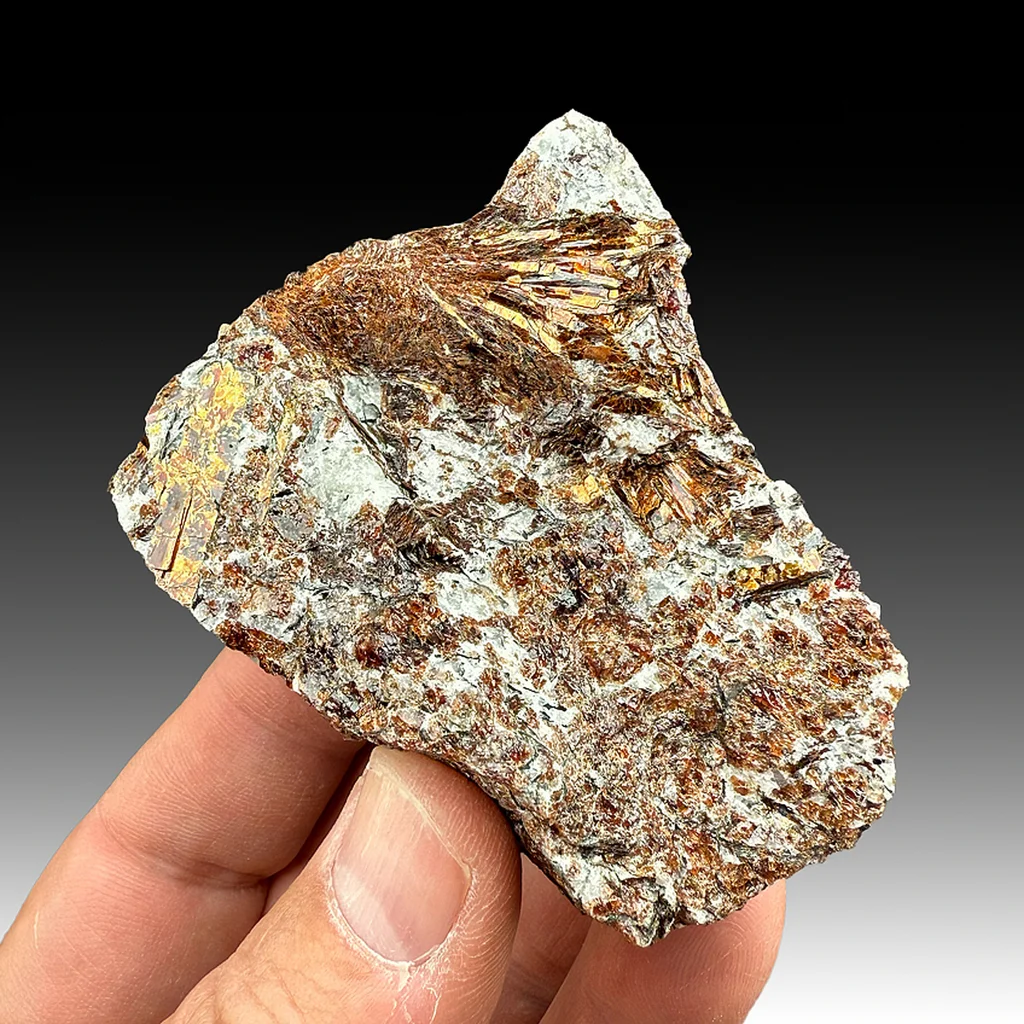 Astrophyllite from Kola Peninsula, Murmansk Oblast, Russia - image 1