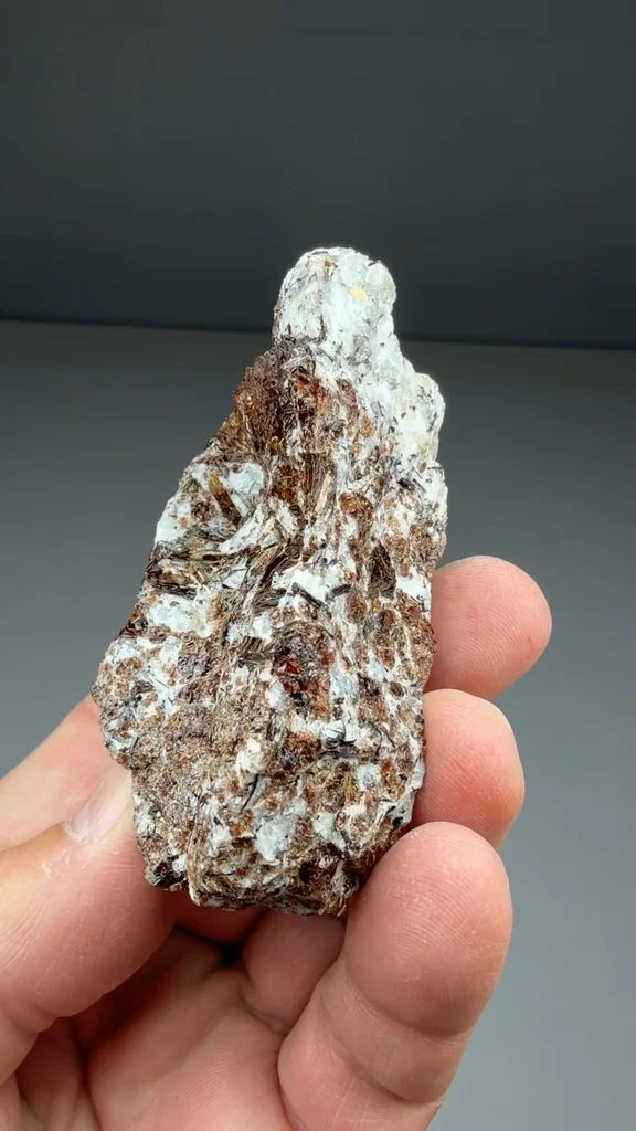 Astrophyllite from Kola Peninsula, Murmansk Oblast, Russia - image 2