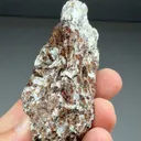 Astrophyllite from Kola Peninsula, Murmansk Oblast, Russia - image 2