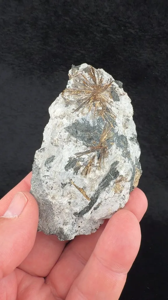 Astrophyllite from Poudrette Quarry - image 2