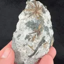 Astrophyllite from Poudrette Quarry - image 2