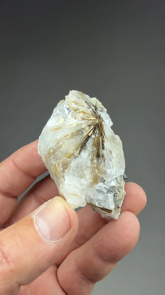 Astrophyllite from Poudrette Quarry - image 2