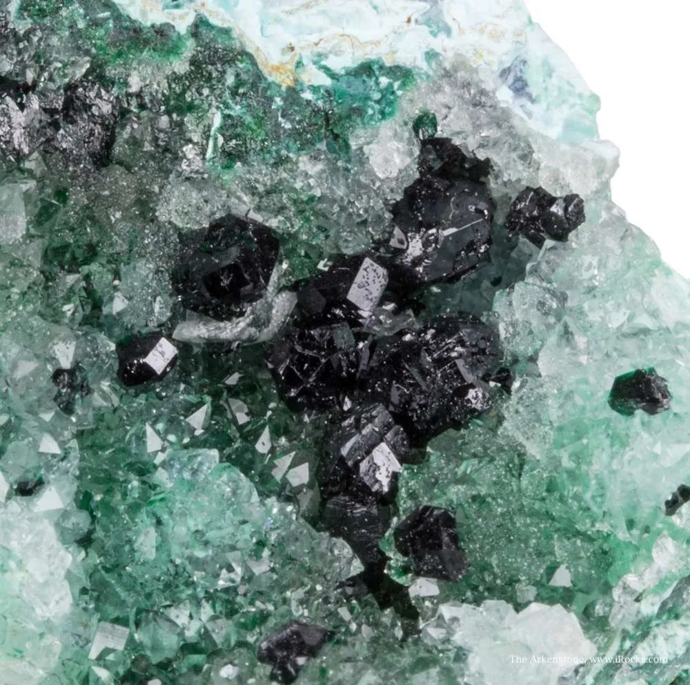 Atacamite & Clinoatacamite on Quartz image