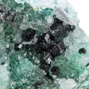 Atacamite & Clinoatacamite on Quartz - image 1