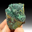 Atacamite from Chañarcillo Mining District, Atacama, Chile - image 1