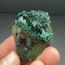 Atacamite from Chañarcillo Mining District, Atacama, Chile - image 2