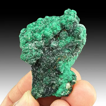 Atacamite from South Australia, Australia