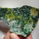 Atacamite, Gypsum - image 1