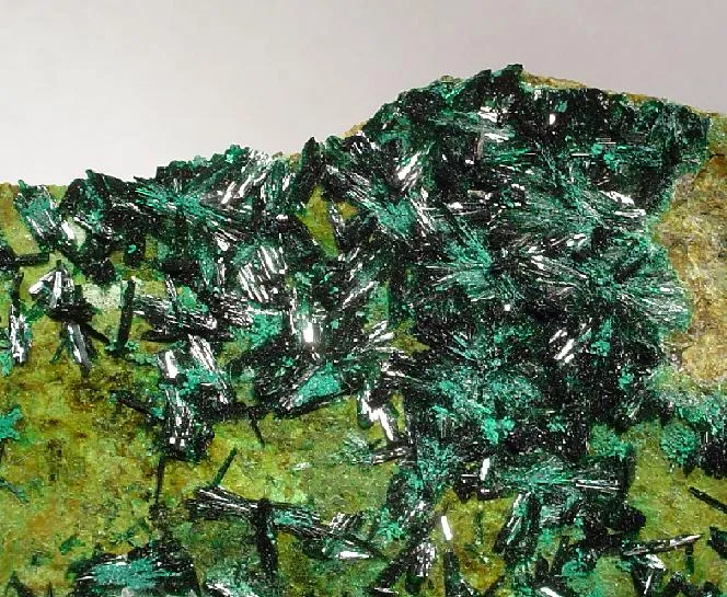 Atacamite, Gypsum - image 2