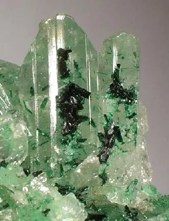 Atacamite, Gypsum (Var: Selenite) - image 2