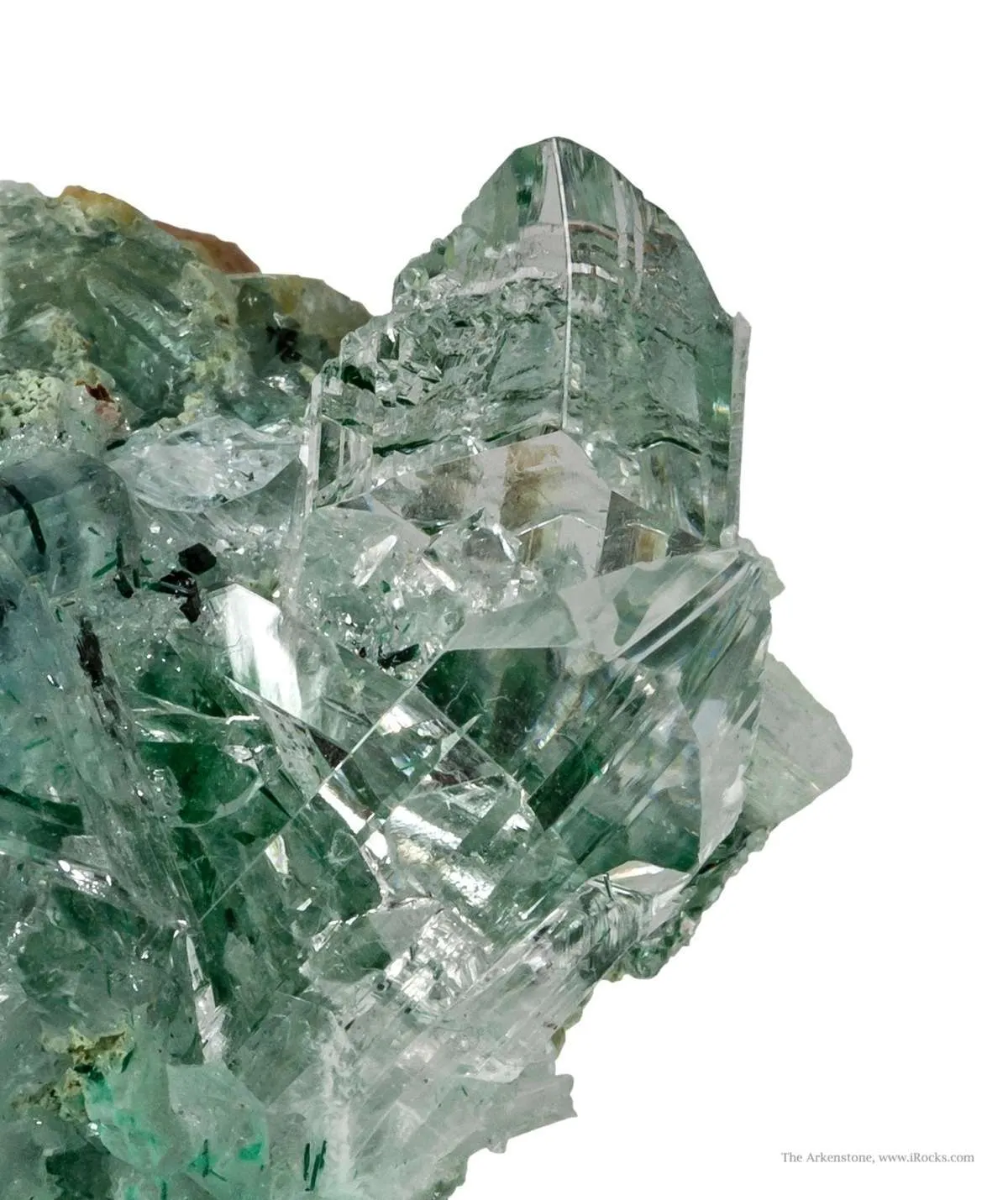 Atacamite in Gypsum - image 2