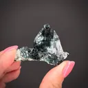 Atacamite in Gypsum - image 2