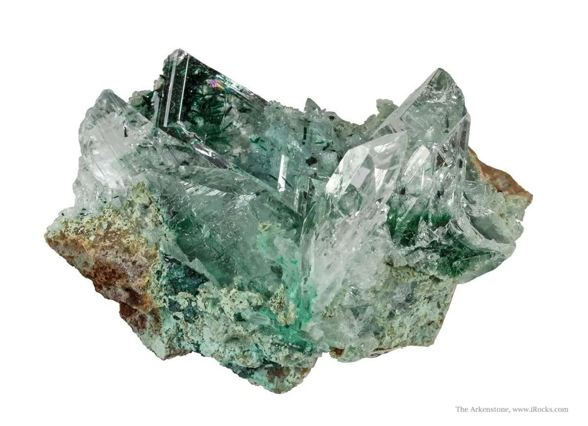Atacamite in Gypsum - image 3