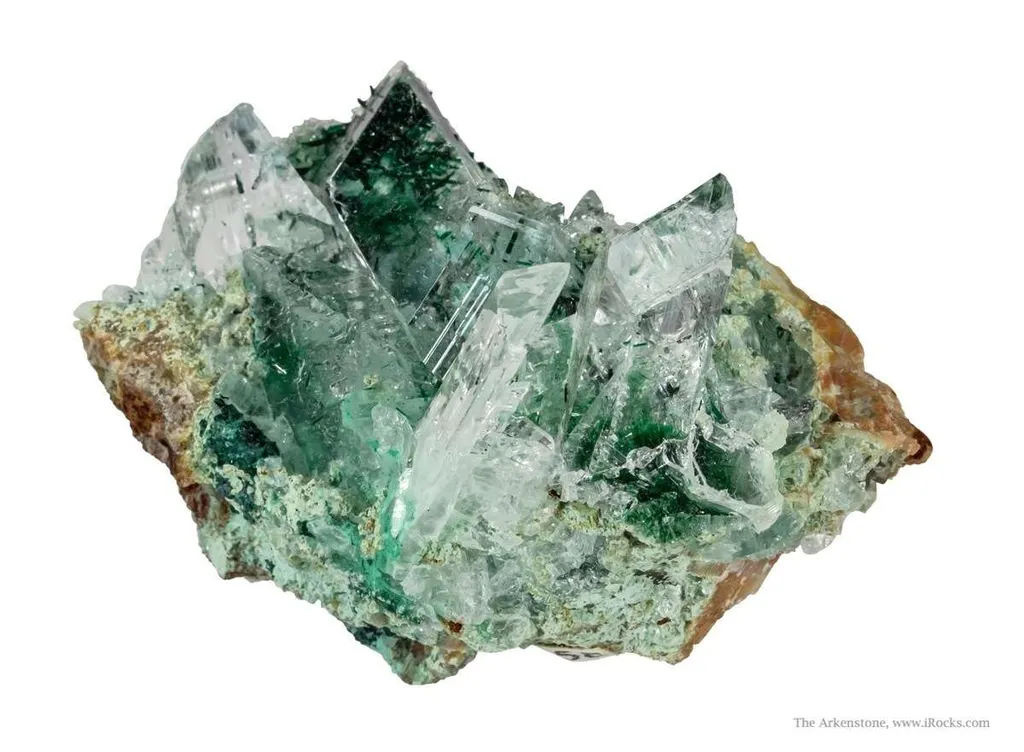 Atacamite in Gypsum - image 5