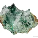 Atacamite in Gypsum - image 5