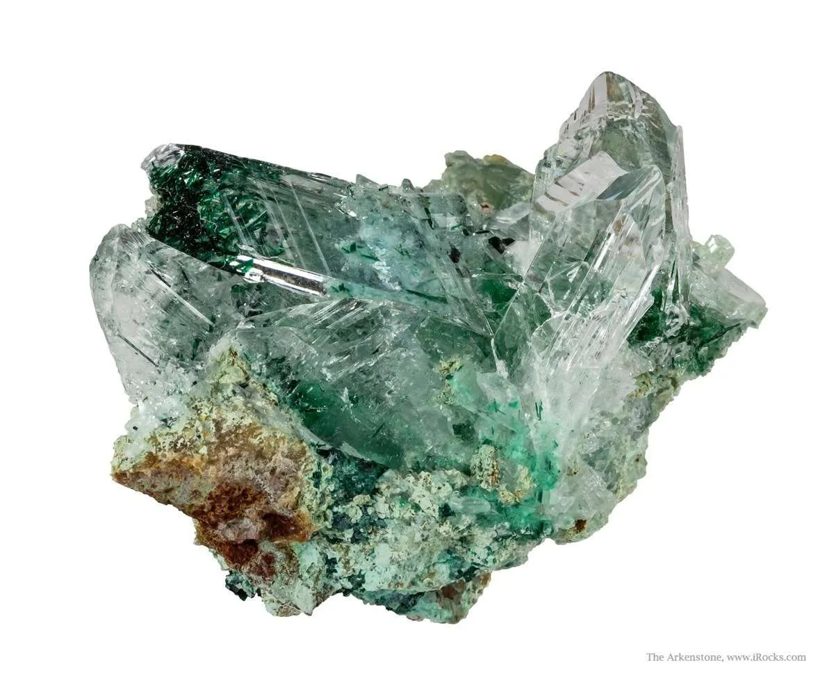 Atacamite in Gypsum - image 4