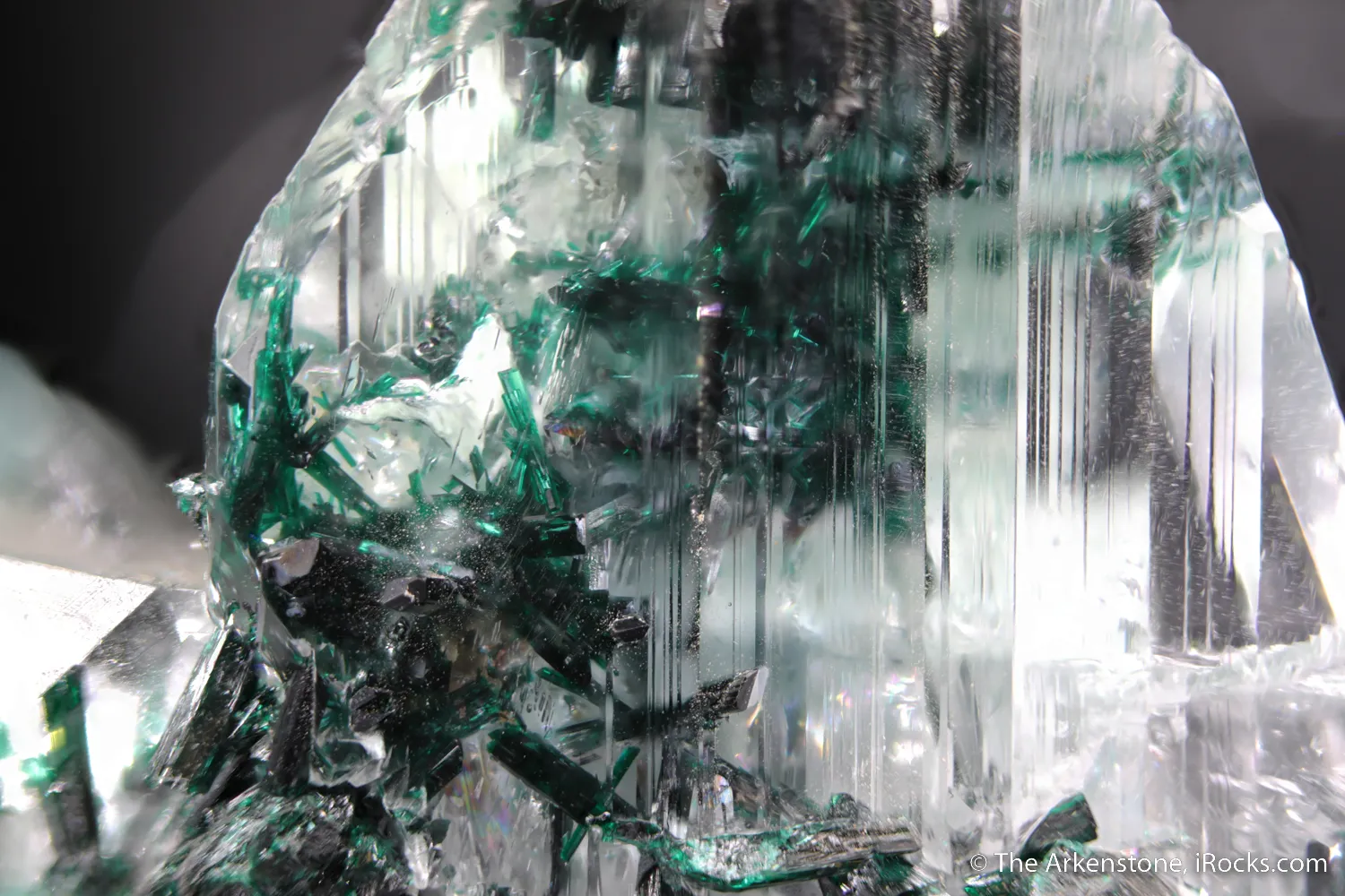 Atacamite in Gypsum - image 4