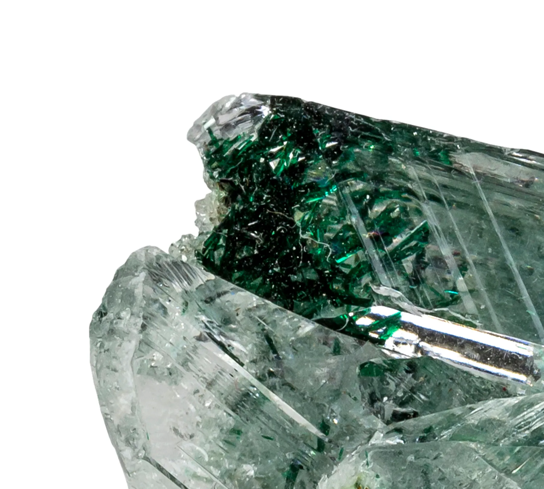 Atacamite in Gypsum - image 1