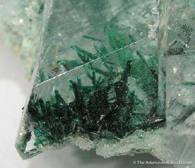 Atacamite in Gypsum Var. Selenite - image 2