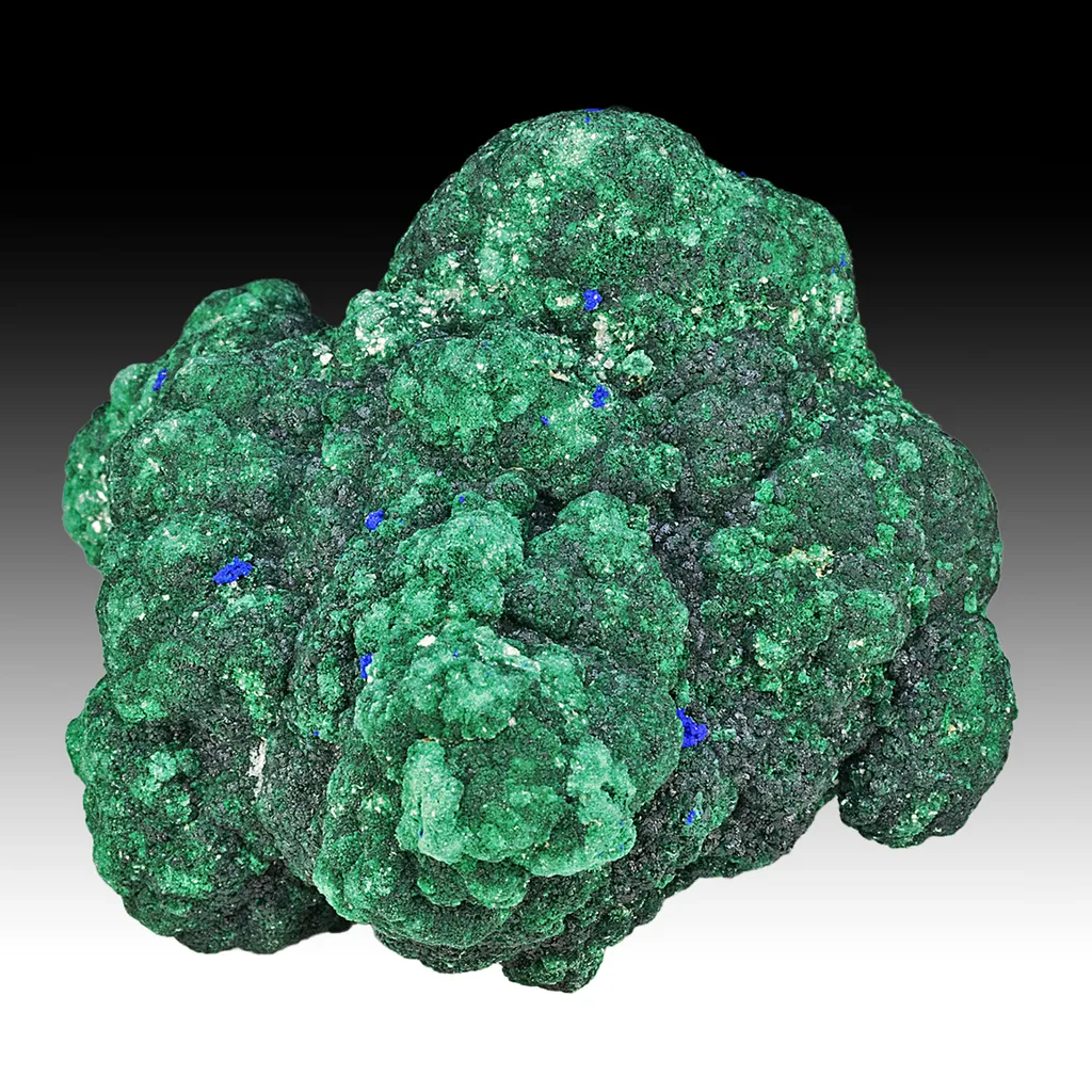 Atacamite with Azurite image
