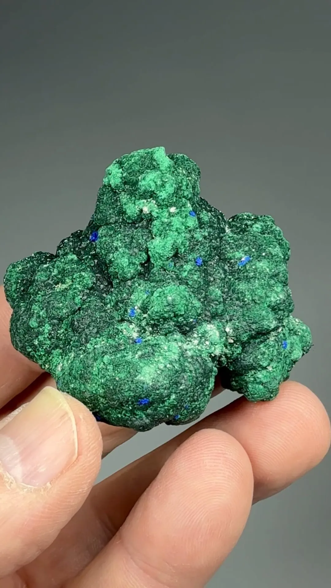 Atacamite with Azurite - image 2