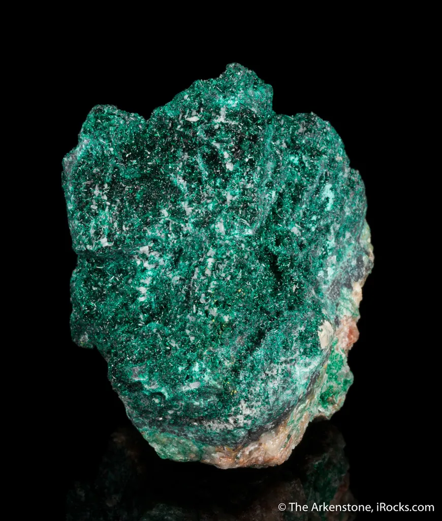 Atacamite with Cerussite - image 6