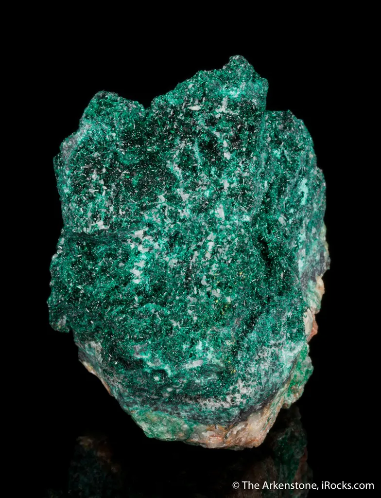 Atacamite with Cerussite - image 2