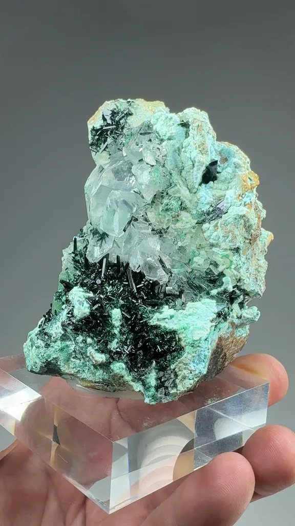 Atacamite with Gypsum, Chrysocolla - image 2