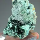 Atacamite with Gypsum, Chrysocolla - image 2