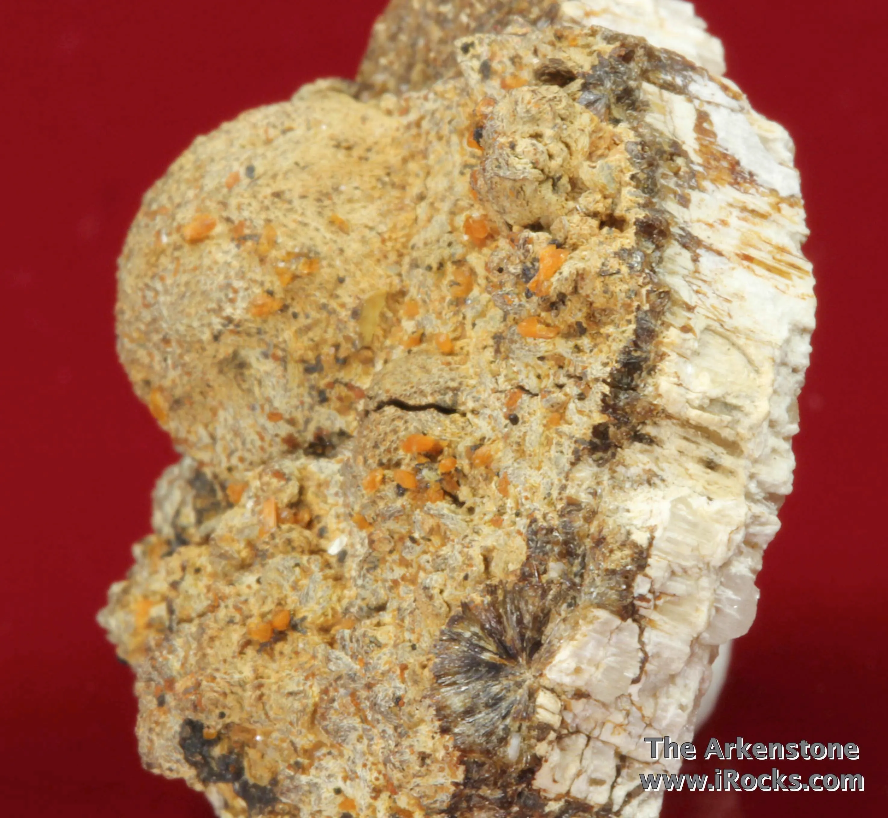 Atencioite (type locality) with Ushkovite on Beryllonite - image 1