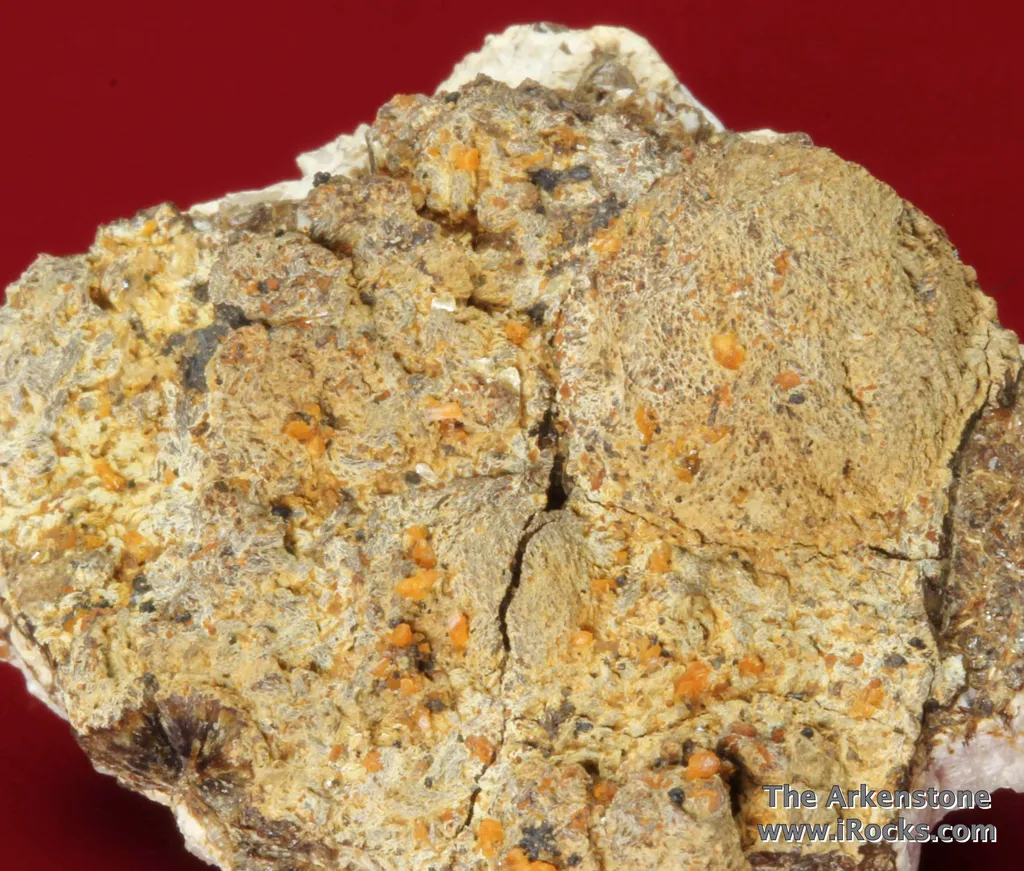 Atencioite (type locality) with Ushkovite on Beryllonite - image 2