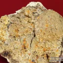 Atencioite (type locality) with Ushkovite on Beryllonite - image 2