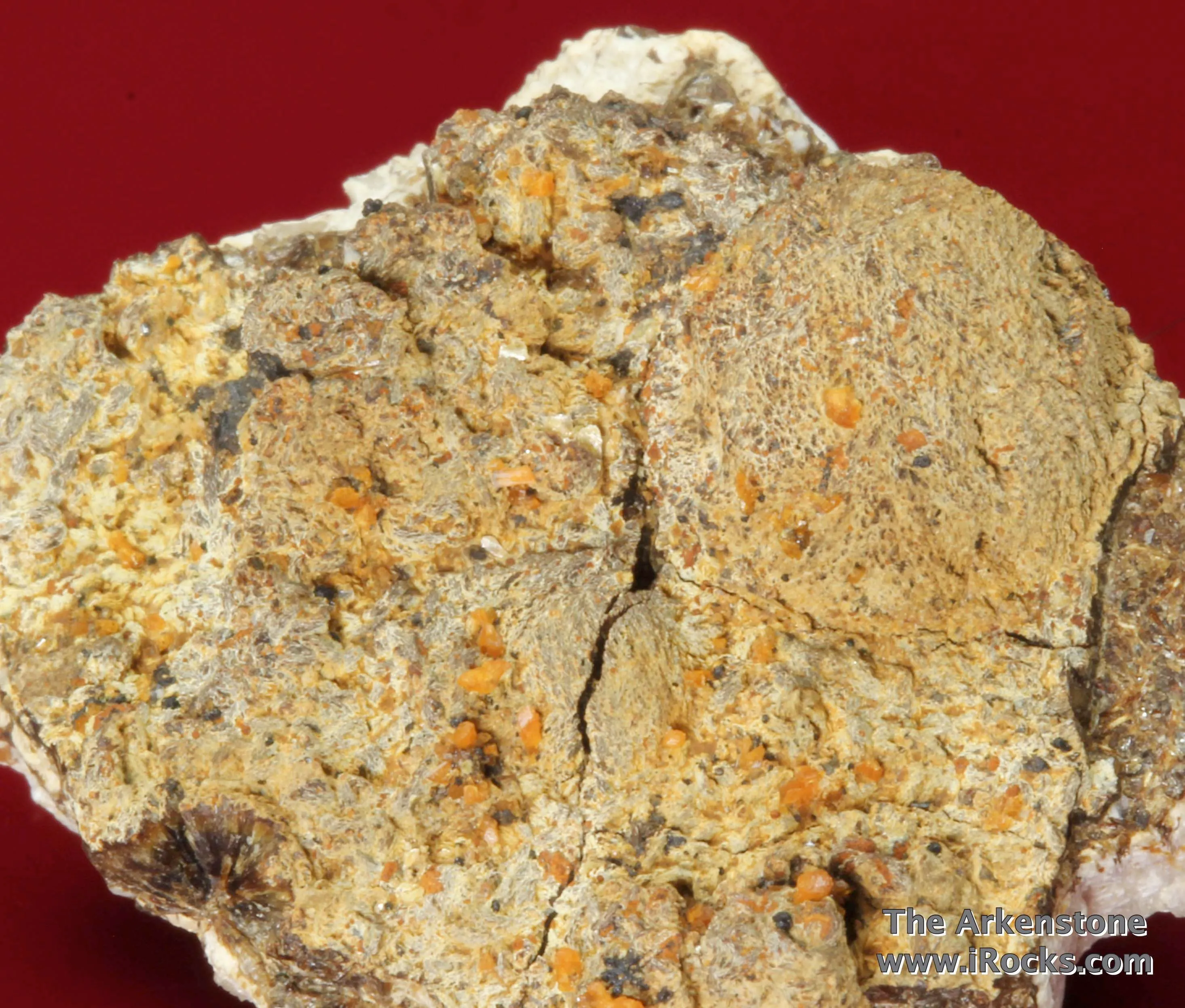 Atencioite (type locality) with Ushkovite on Beryllonite - image 2