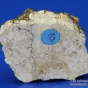 Atencioite (type locality) with Ushkovite on Beryllonite - image 3