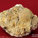 Atencioite (type locality) with Ushkovite on Beryllonite - image 5