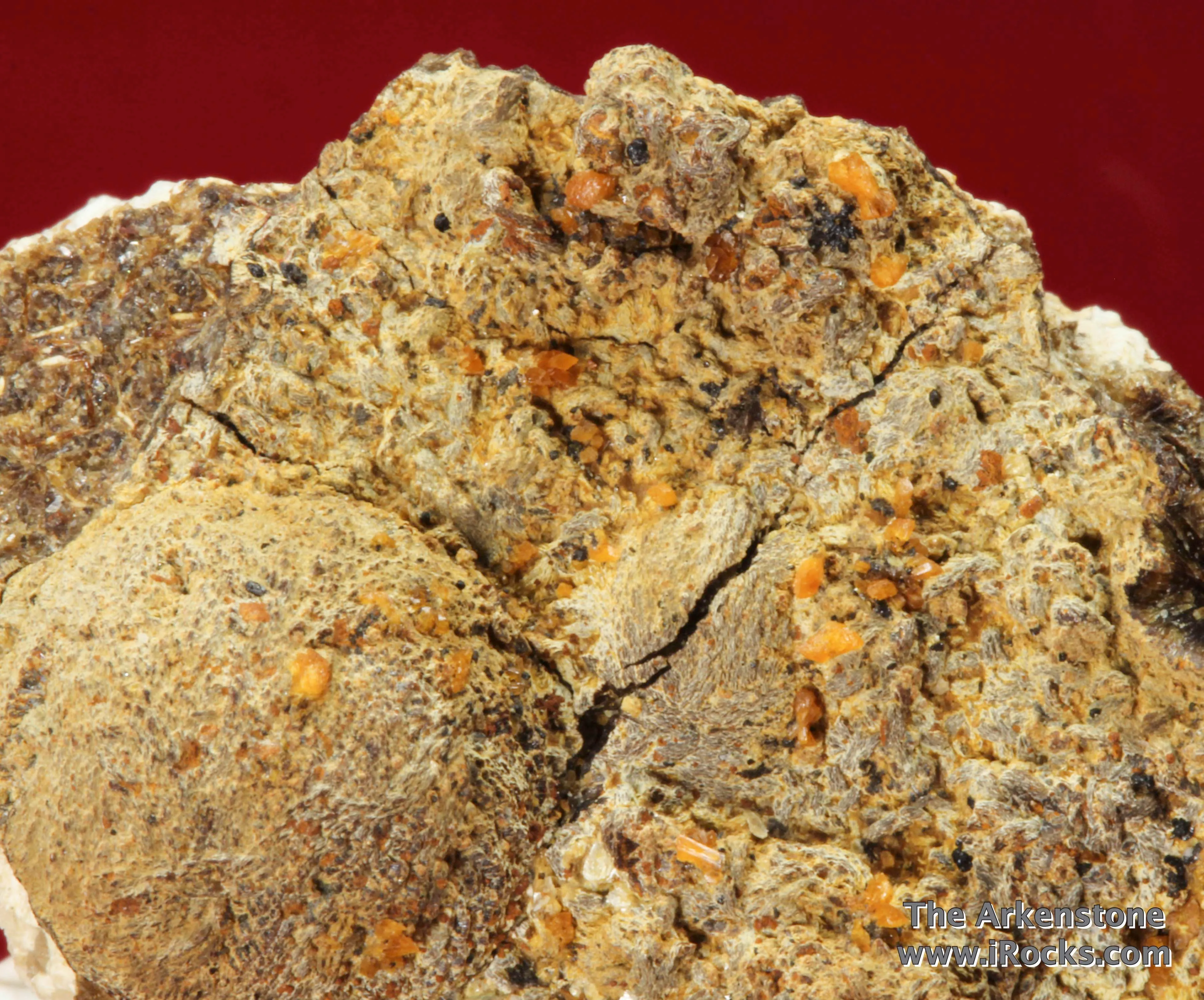 Atencioite (type locality) with Ushkovite on Beryllonite - image 4