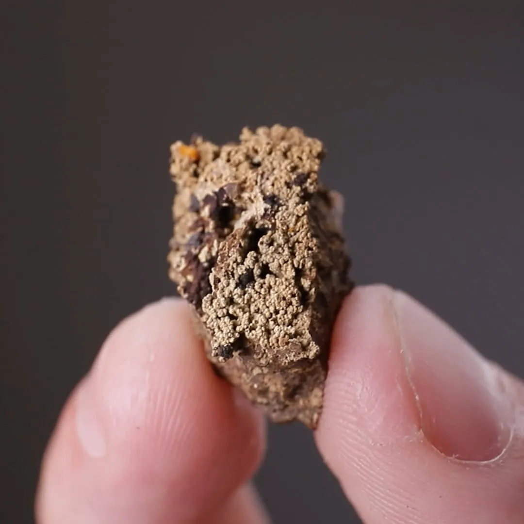 ATENCIOITE with USHKOVITE Beryllonite and MORAESITE - image 2