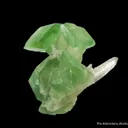 Augelite and Quartz - image 4