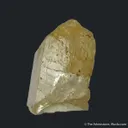 Augelite gem xl - image 2