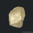 Augelite gem xl - image 6