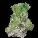 Augelite on Quartz - image 3