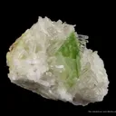 Augelite on Quartz - image 4