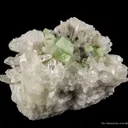 Augelite on Quartz - image 4