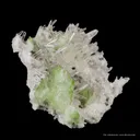 Augelite on Quartz - image 4