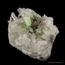 Augelite on Quartz - image 2