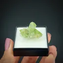 Augelite with Quartz - image 2