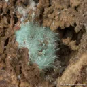 Aurichalcite - image 1