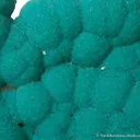 Aurichalcite - image 2